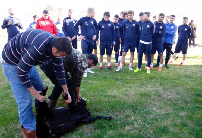 "Kötü Gidişat Sona Ersin Diye’ Kurban Kestiler