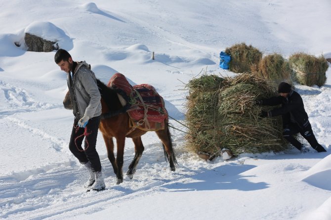 Çığ Tehlikesine Rağmen...