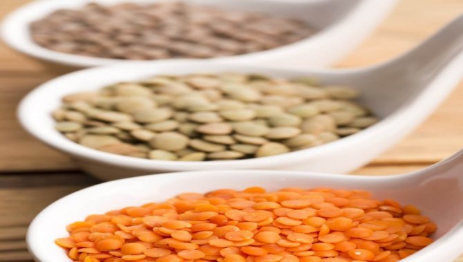 Güçlü Bağışıklık Sistemi İçin Sağlıklı Beslenin