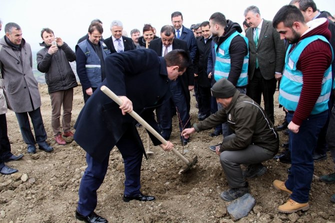 Samsun’da Hükümlüler Fidan Dikti