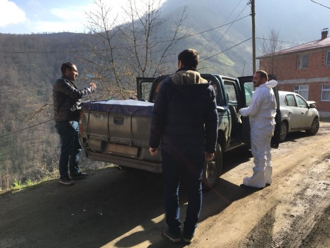 Trabzon’da Şarbon Paniği Sürüyor
