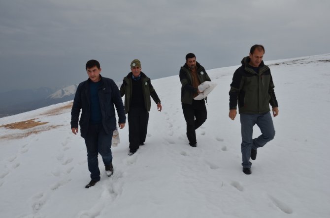 Kuşlar İçin Doğaya Yem Bırakıldı