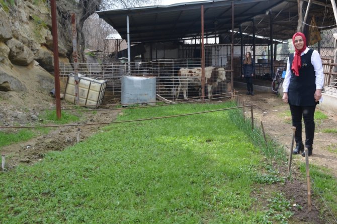 Cezaevinde Kafasına Koydu, Tahliye Olunca Tesisini Kurdu