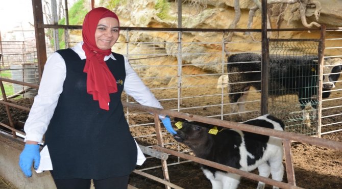 Cezaevinde Kafasına Koydu, Tahliye Olunca Tesisini Kurdu