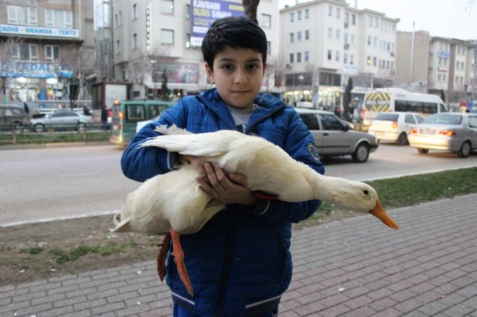 Filmlere Konu Olacak Dostluk