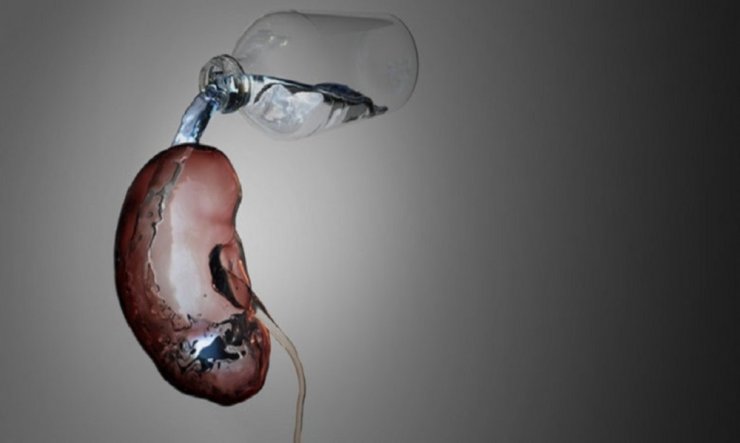 “Bira İçerek Böbrek Taşı Düşürülür Kanısı Yanlış"