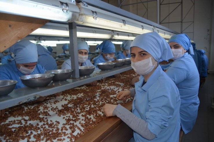 Fındık Fabrikasında Çalışan Kadınlara Kadınlar Günü Süprizi