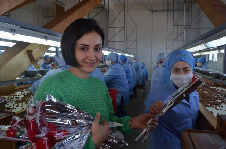 Fındık Fabrikasında Çalışan Kadınlara Kadınlar Günü Süprizi