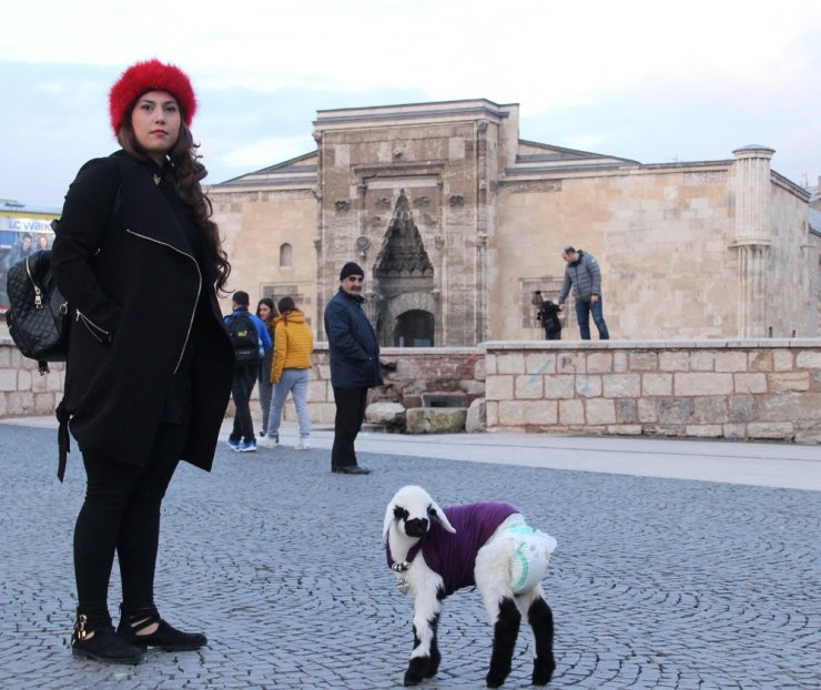Kuzuyu Evinde ’Bebek’ Gibi Besliyor