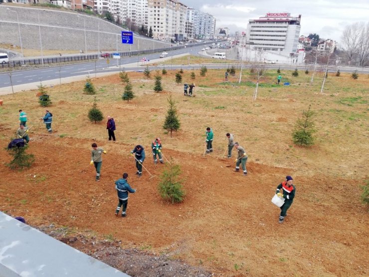 Trabzon’un Güzelleşmesi İçin 114 Bin 307 Ağaç Dikildi
