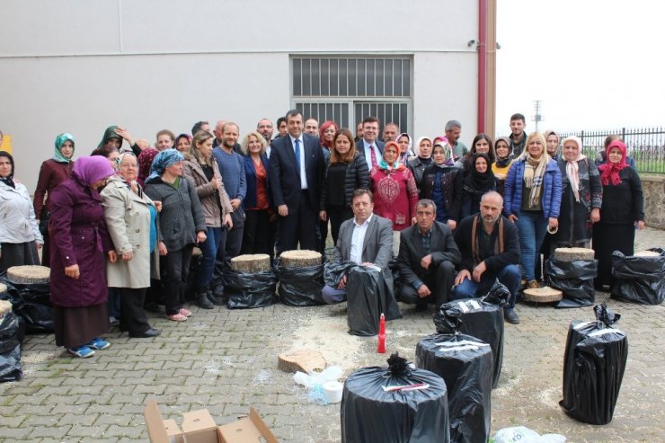 Vakfıkebir’de 