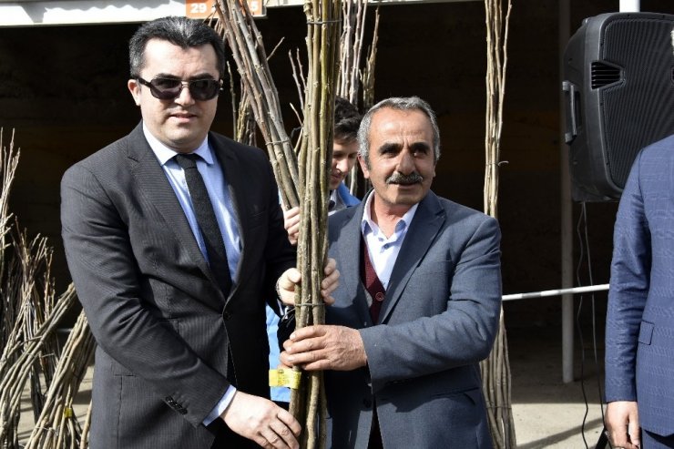 Gümüşhane’de Üreticilere 23 Bin Ceviz Fidanı Daha Dağıtıldı