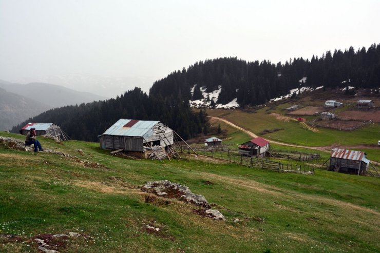 Karadeniz Yaylalarında Bahar Güzelliği