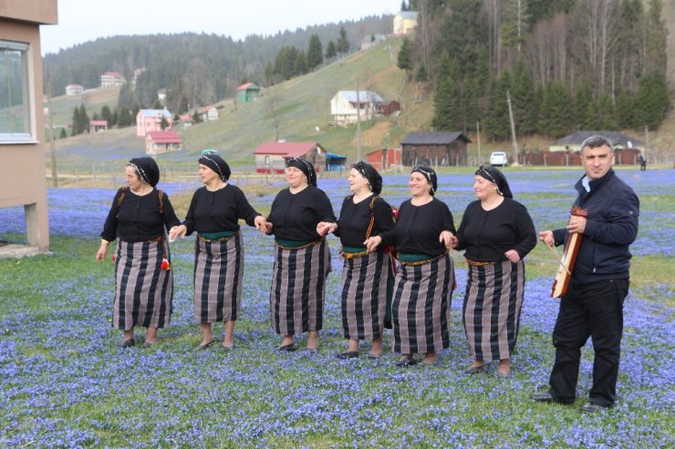 Kadıralak Yaylası Mor Elbisesini Giydi
