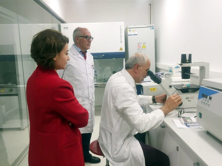 Obezite, Meme, Rahim Ve Yumurtalık Kanseri Yapıyor