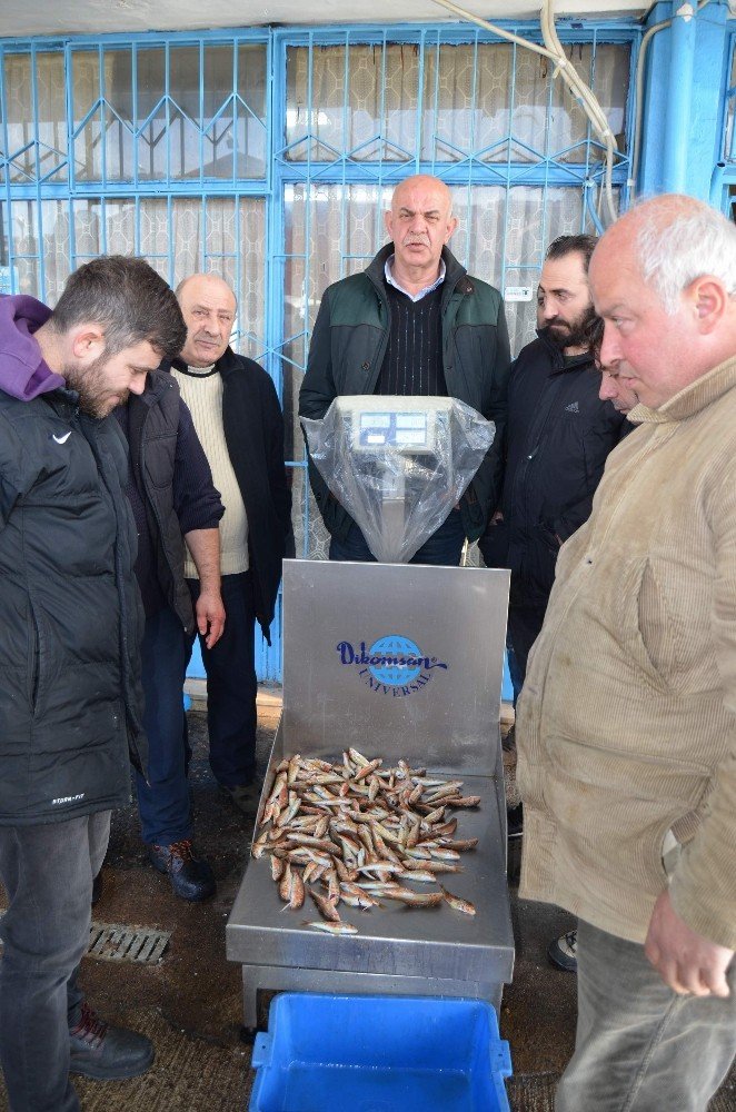 Mezgit’in Fiyatı Kalkan’ın Fiyatını Yakaladı