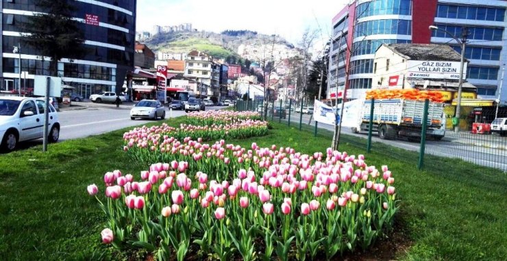 Trabzon Çiçek Bahçesine Döndü