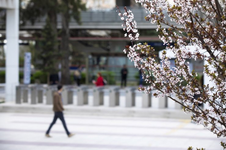 Bahar Alerjisinden Korunma Yöntemleri