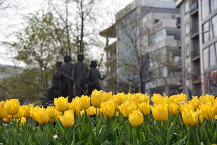 Giresun’da Lale Devri