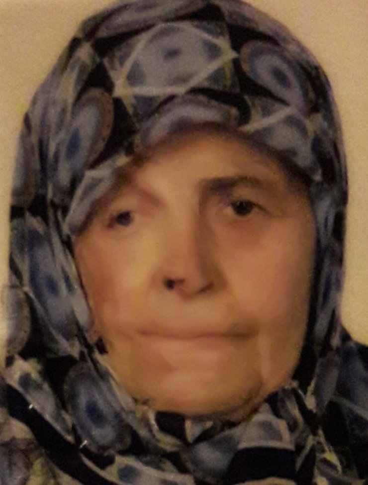 Kamyonetin Çarptığı Yaşlı Kadın Hayatını Kaybetti