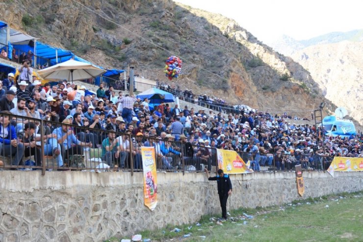 Artvin’de Boğalar Sezonun İlk Yarışı İçin Arenaya Çıktı
