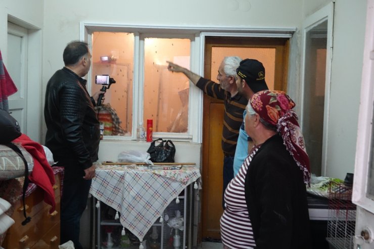 Kuşadası’nda Arı İstilası