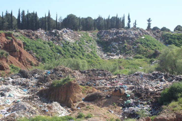Manavgat’ta Doğa Katliamı