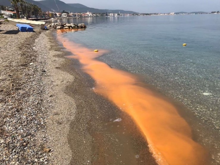 İzmir’de Korkutan Görüntü !