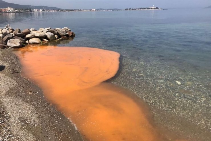 İzmir’de Korkutan Görüntü !