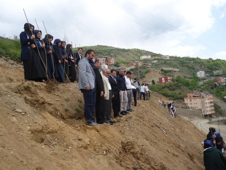 Kürtün’de Meyve Fidanları Toprakla Buluştu