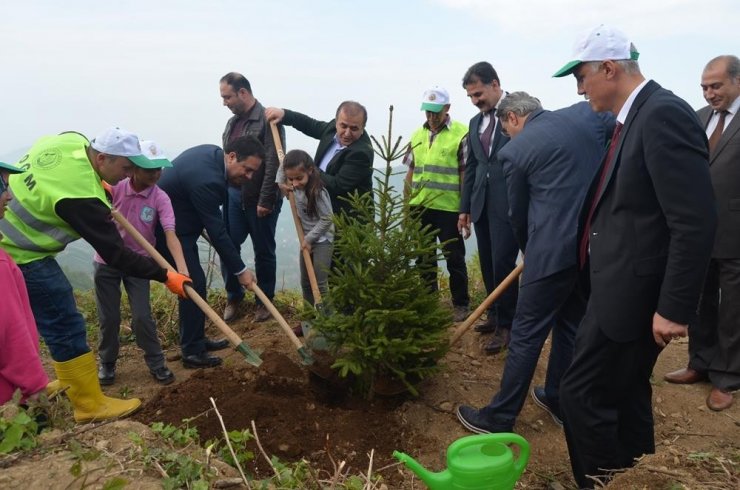 Trabzon’da Mülteci Çocuklar Fidan Dikti
