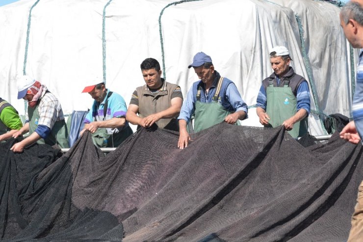 Hamsi İhracatında Miktar Ve Döviz Gelirinde Yüzde 10 Artış