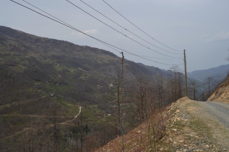 Elektrik Kesintileri Bezdirdi