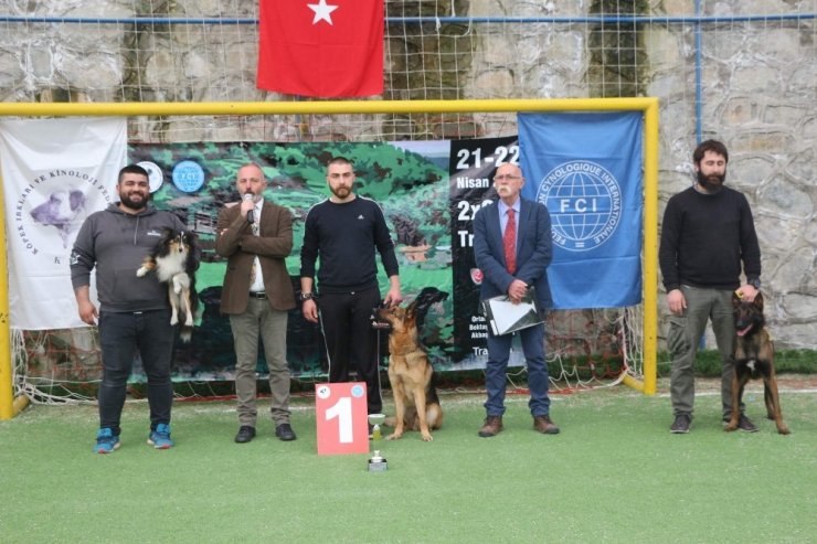 Trabzon’da Uluslararası Köpek Irkları Yarışması