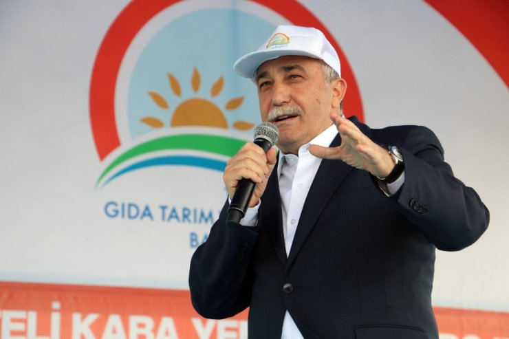 "Kaba Yem İhtiyacının Yüzde 40’ı Şanlıurfa’dan"