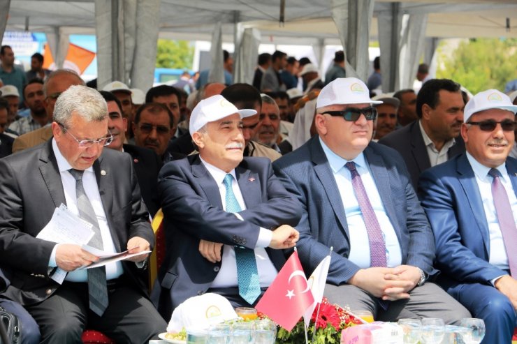 "Kaba Yem İhtiyacının Yüzde 40’ı Şanlıurfa’dan"