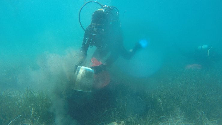 Bodrum’da Deniz Dibi Temizliği Sürüyor