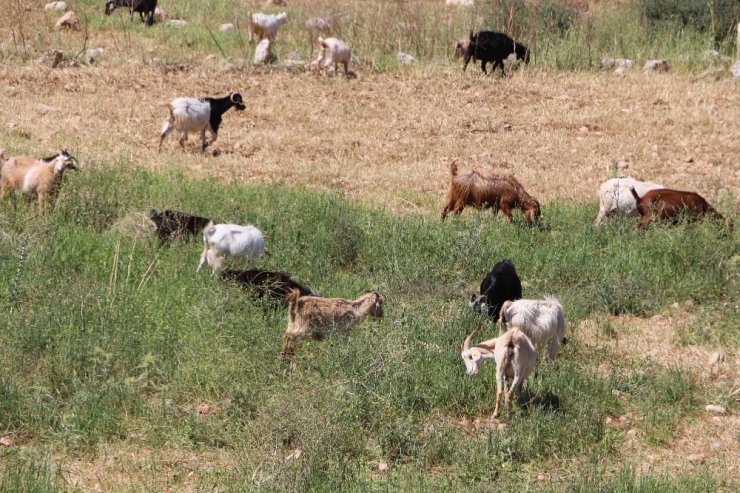 400 Yıllık ’Kapı’ Geleneği Yaşatılıyor