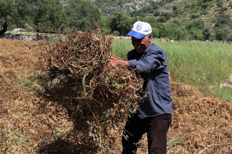400 Yıllık ’Kapı’ Geleneği Yaşatılıyor