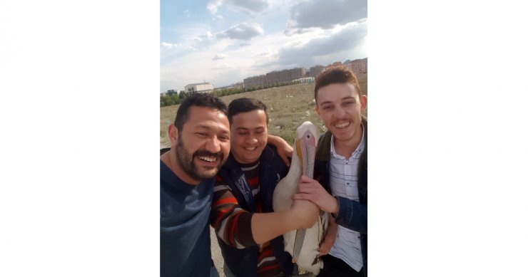 Pelikanla Bir Garip Yolculuk