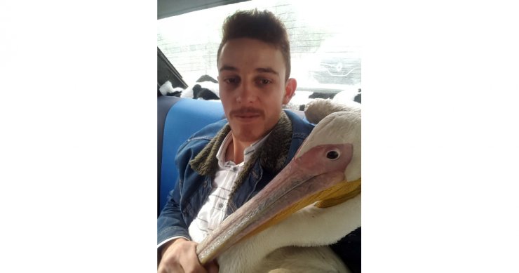 Pelikanla Bir Garip Yolculuk