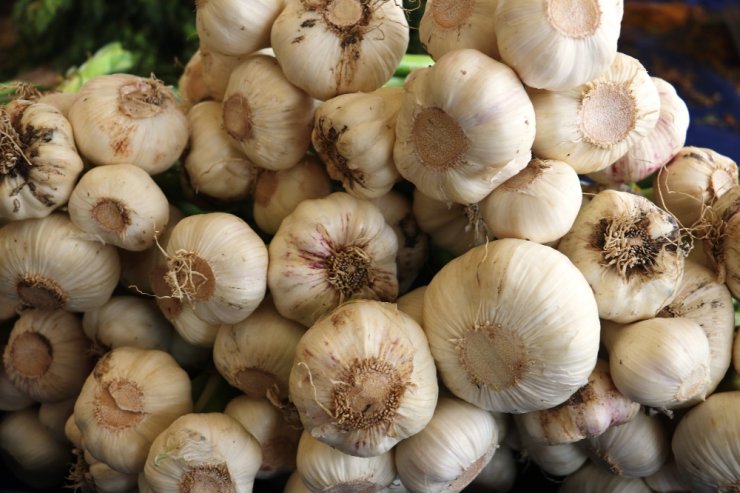 İlk Mahsuller Tezgahlardaki Yerini Aldı