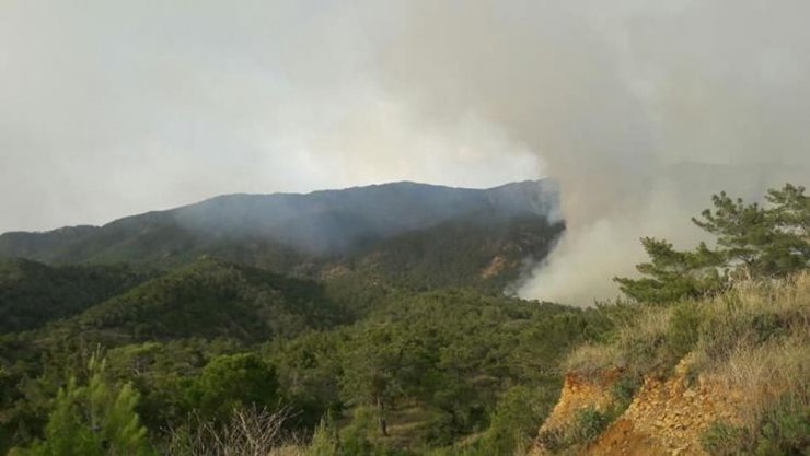 Hatay’da Orman Yangını