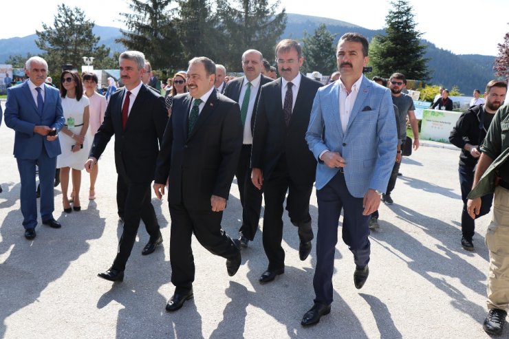 "İstedikleri Kadar Çatı Kursunlar..."