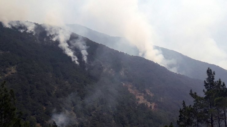 Hatay’daki Orman Yangın Söndürülemedi