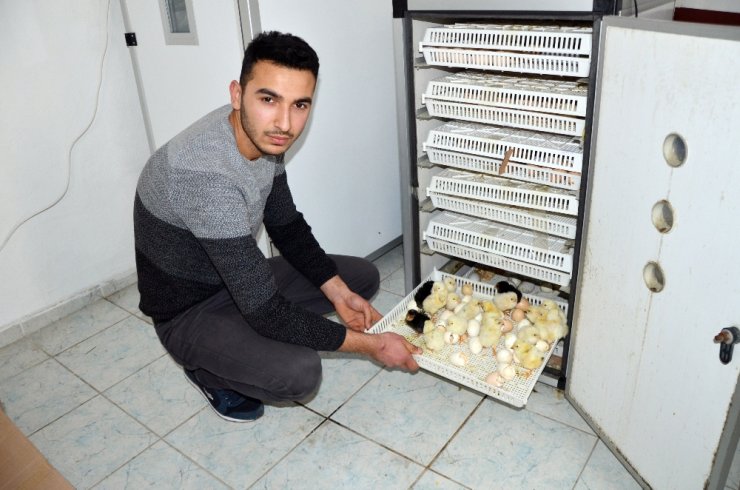 Hobi İçin Başladı, Şimdi İhracatını Yapıyor