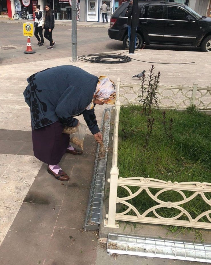 Görele Belediyesi’nden Örnek Proje