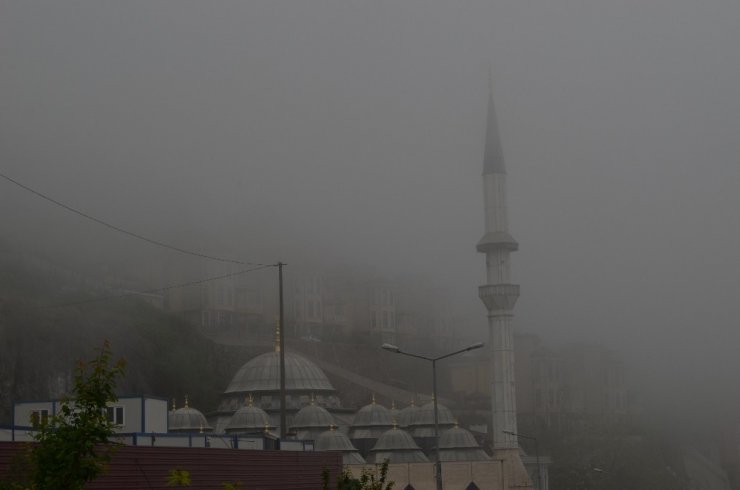 Trabzon Son Yılların En Sisli Günlerini Geçiriyor