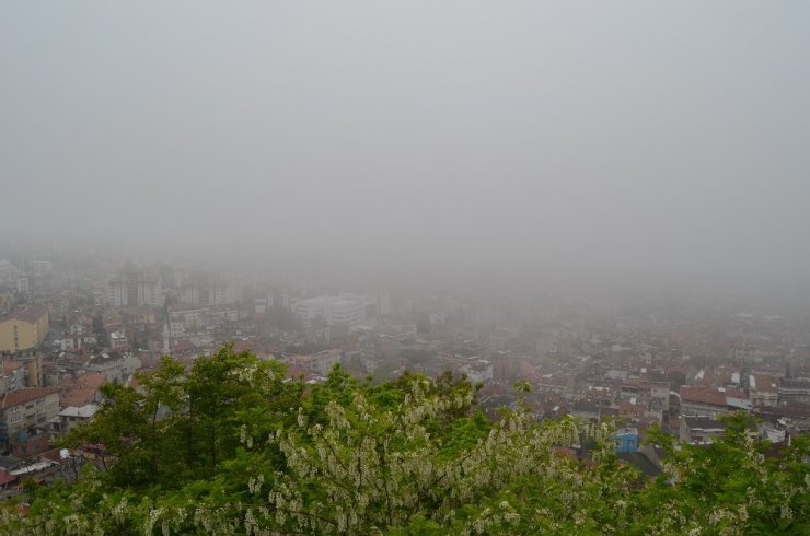 Trabzon Son Yılların En Sisli Günlerini Geçiriyor