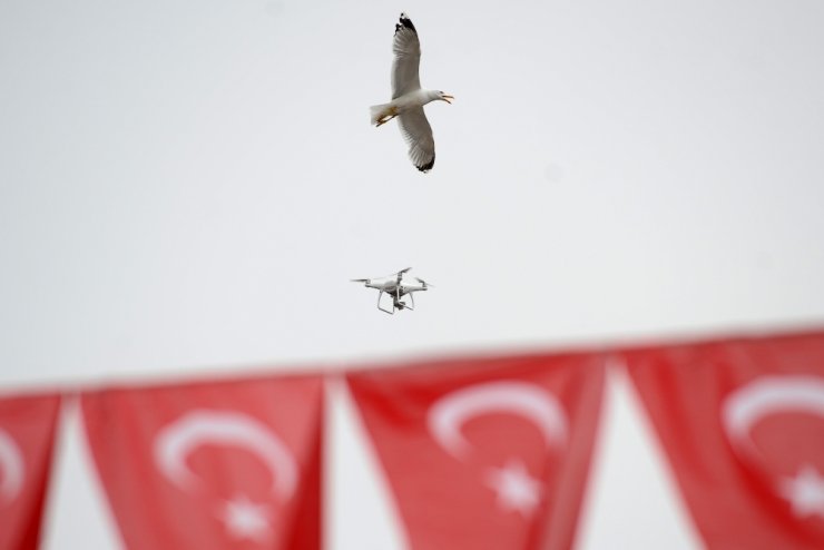 Martıların ’Drone’ İmtihanı